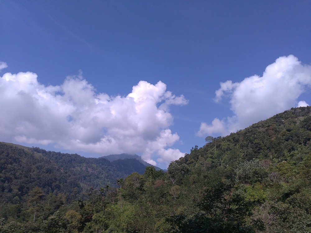 Bukit Barisan Sumatera