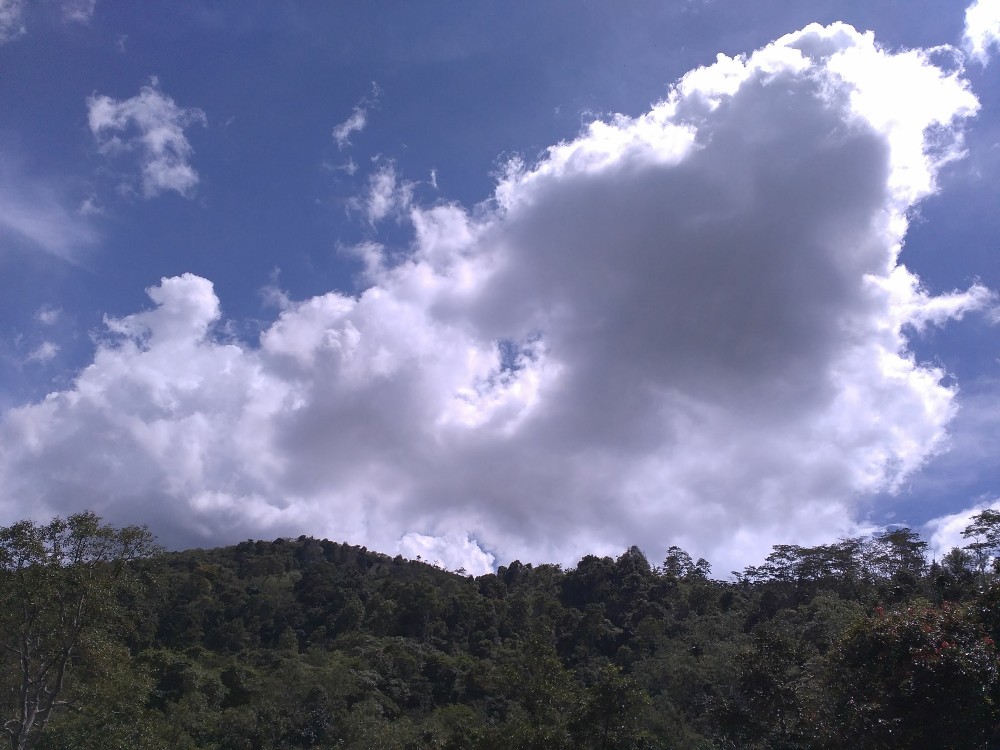 Bukit Barisan Sumatera1
