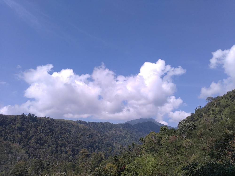 Bukit Barisan Sumatera2