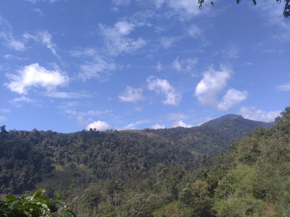 Bukit Barisan Sumatera3