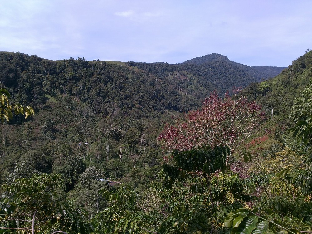 Bukit Barisan Sumatera6